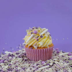 Wilton Cupcake Decorating Set -Hearts- Set/14