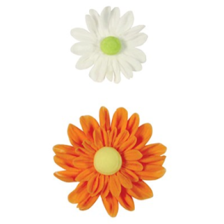 JEM Novelty Cutters - Embossed Daisy Set of 2