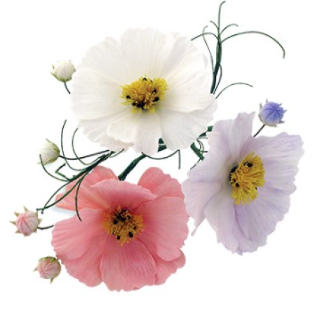 JEM Floral Cutters - Cosmos and Calyx Set of 2