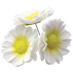 JEM Floral Cutters - Eight Petal Daisy 50mm (150mm / 2”)