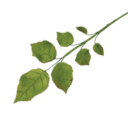 JEM Foliage Cutters - Small Rose Leaves Set of 4