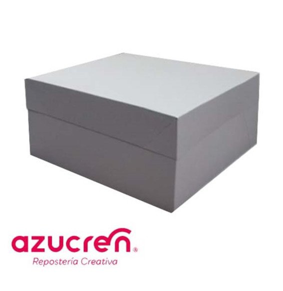 18'' x 14'' x 6''  Oblong White Cake Boxes