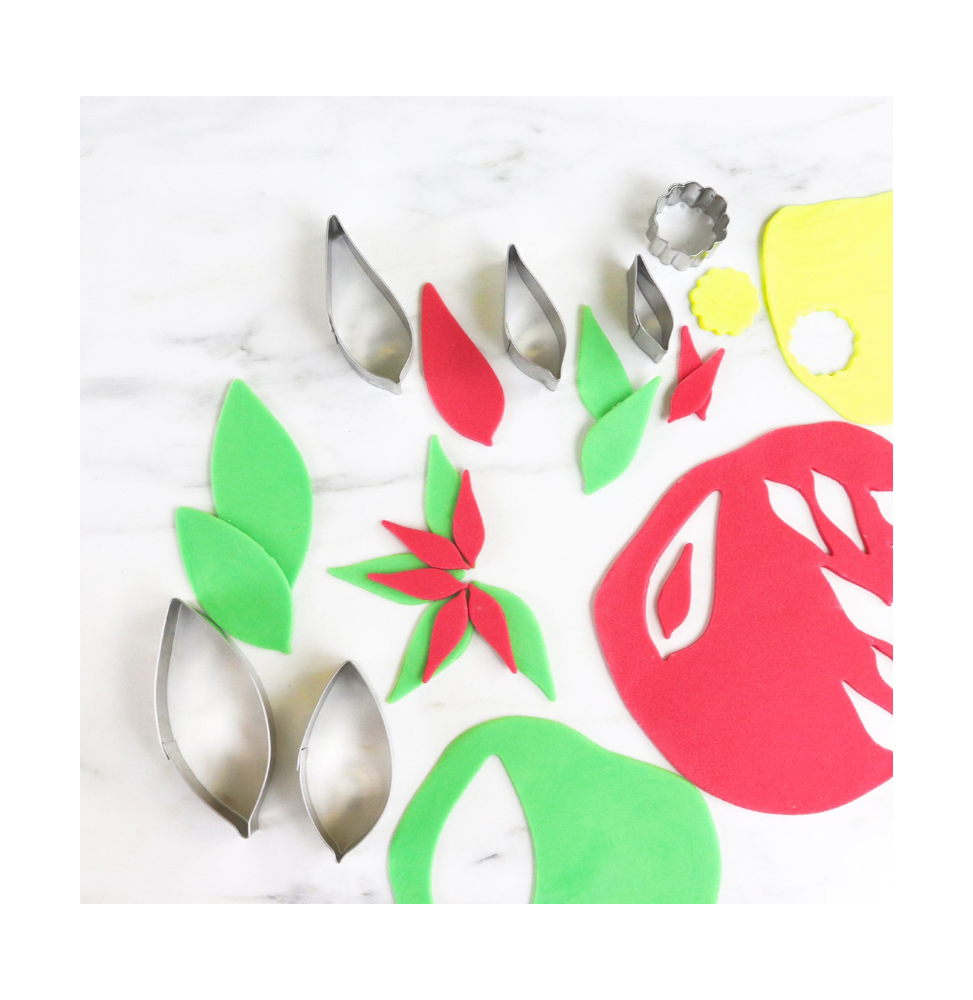 PME Stainless Steel Poinsettia Cutters Christmas - Set of 6
