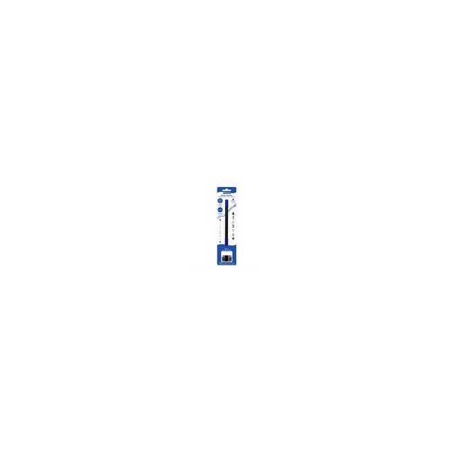 Brush & Fine Pen - Royal Blue